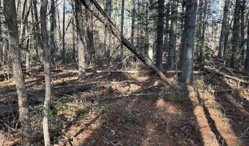 Photo #26 of Off Playmore Beach Road, Morganton, NC 22.6 acres