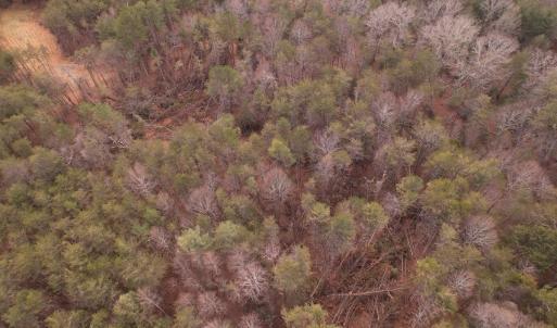 Photo #27 of Off Playmore Beach Road, Morganton, NC 22.6 acres