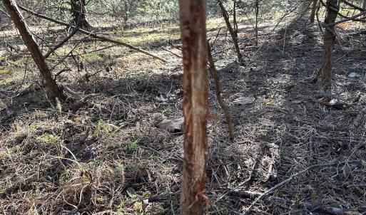 Photo #7 of Off Playmore Beach Road, Morganton, NC 22.6 acres
