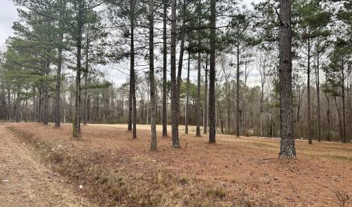 Photo #15 of SOLD property in Off McDougald Rd, Lillington, NC 10.5 acres
