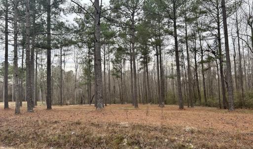Photo #17 of SOLD property in Off McDougald Rd, Lillington, NC 10.5 acres