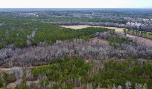 Photo #18 of SOLD property in Off McDougald Rd, Lillington, NC 10.5 acres