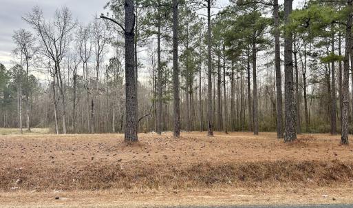 Photo #19 of SOLD property in Off McDougald Rd, Lillington, NC 10.5 acres
