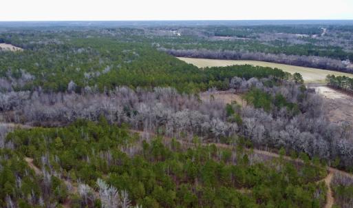 Photo #20 of SOLD property in Off McDougald Rd, Lillington, NC 10.5 acres