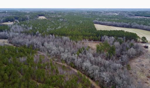 Photo #22 of SOLD property in Off McDougald Rd, Lillington, NC 10.5 acres