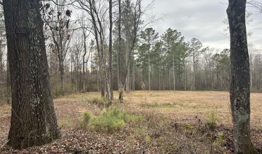 Photo #28 of SOLD property in Off McDougald Rd, Lillington, NC 10.5 acres