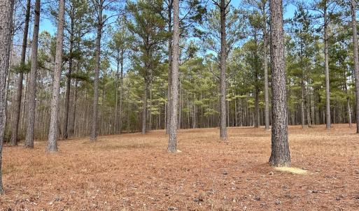 Photo #29 of SOLD property in Off McDougald Rd, Lillington, NC 10.5 acres