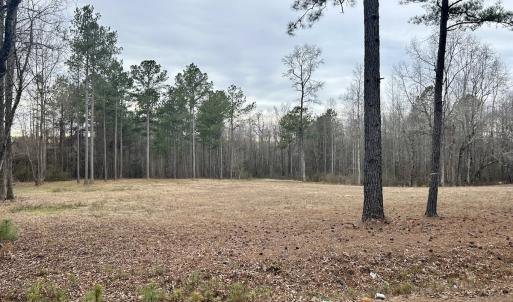 Photo #3 of SOLD property in Off McDougald Rd, Lillington, NC 10.5 acres