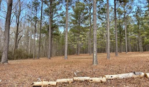 Photo #30 of SOLD property in Off McDougald Rd, Lillington, NC 10.5 acres