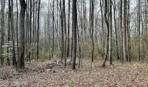 Photo #32 of SOLD property in Off McDougald Rd, Lillington, NC 10.5 acres