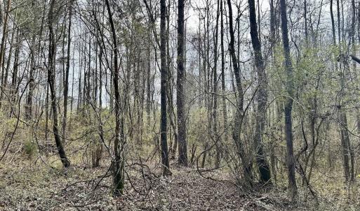 Photo #33 of SOLD property in Off McDougald Rd, Lillington, NC 10.5 acres
