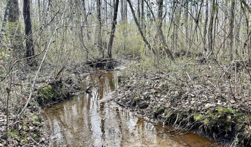 Photo #34 of SOLD property in Off McDougald Rd, Lillington, NC 10.5 acres