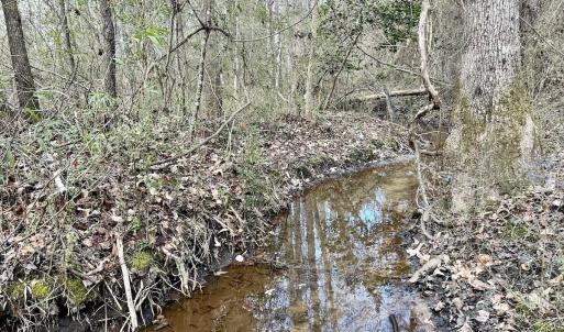 Photo #35 of SOLD property in Off McDougald Rd, Lillington, NC 10.5 acres