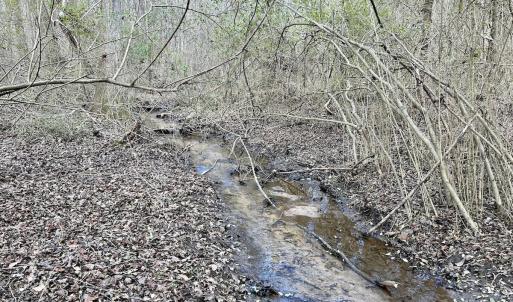Photo #36 of SOLD property in Off McDougald Rd, Lillington, NC 10.5 acres