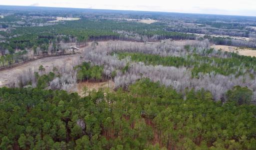Photo #4 of SOLD property in Off McDougald Rd, Lillington, NC 10.5 acres