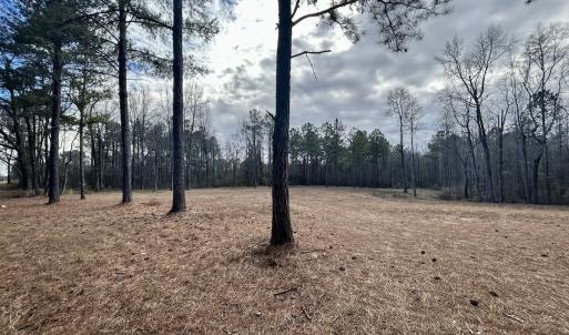 Photo #5 of SOLD property in Off McDougald Rd, Lillington, NC 10.5 acres