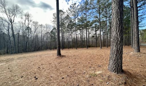 Photo #7 of SOLD property in Off McDougald Rd, Lillington, NC 10.5 acres