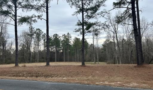 Photo #9 of SOLD property in Off McDougald Rd, Lillington, NC 10.5 acres
