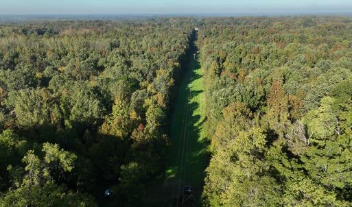 Photo #12 of SOLD property in Off Hwy 301, Halifax, NC 1,057.0 acres