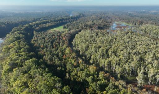 Photo #13 of SOLD property in Off Hwy 301, Halifax, NC 1,057.0 acres