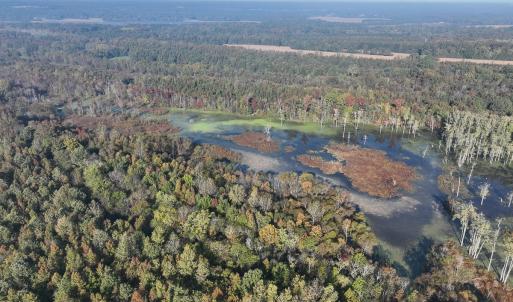 Photo #14 of SOLD property in Off Hwy 301, Halifax, NC 1,057.0 acres