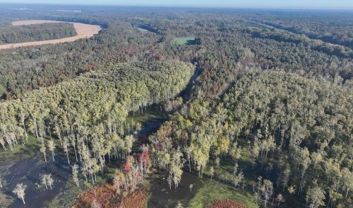 Photo #15 of SOLD property in Off Hwy 301, Halifax, NC 1,057.0 acres