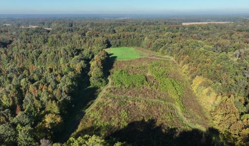 Photo #16 of SOLD property in Off Hwy 301, Halifax, NC 1,057.0 acres
