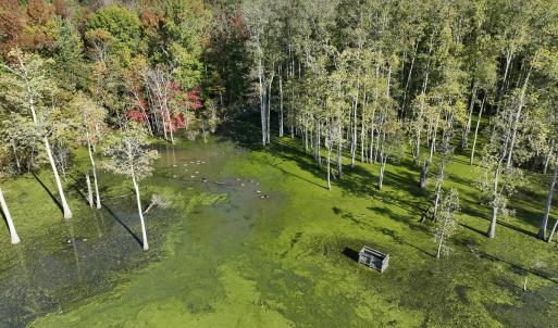 Photo #17 of SOLD property in Off Hwy 301, Halifax, NC 1,057.0 acres