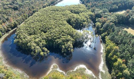Photo #19 of SOLD property in Off Hwy 301, Halifax, NC 1,057.0 acres