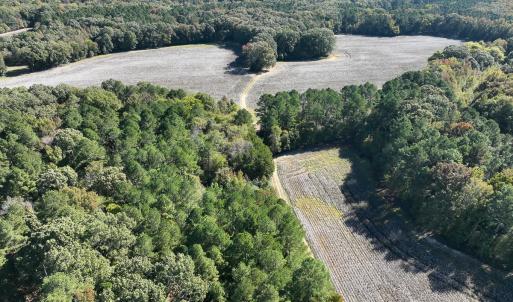 Photo #20 of SOLD property in Off Hwy 301, Halifax, NC 1,057.0 acres