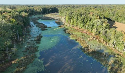 Photo #4 of SOLD property in Off Hwy 301, Halifax, NC 1,057.0 acres