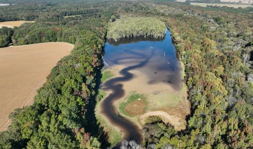 Photo #21 of SOLD property in Off Hwy 301, Halifax, NC 1,057.0 acres