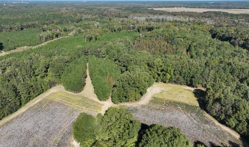 Photo #23 of SOLD property in Off Hwy 301, Halifax, NC 1,057.0 acres