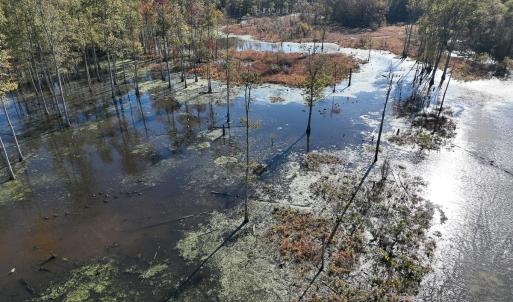 Photo #24 of SOLD property in Off Hwy 301, Halifax, NC 1,057.0 acres