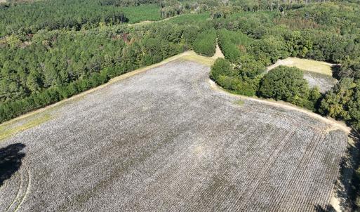 Photo #25 of SOLD property in Off Hwy 301, Halifax, NC 1,057.0 acres