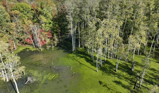 Photo #26 of SOLD property in Off Hwy 301, Halifax, NC 1,057.0 acres