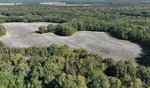 Photo #27 of SOLD property in Off Hwy 301, Halifax, NC 1,057.0 acres