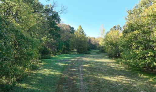 Photo #29 of SOLD property in Off Hwy 301, Halifax, NC 1,057.0 acres