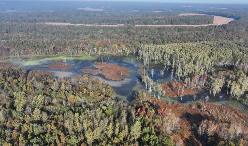 Photo #30 of SOLD property in Off Hwy 301, Halifax, NC 1,057.0 acres