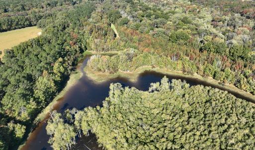 Photo #31 of SOLD property in Off Hwy 301, Halifax, NC 1,057.0 acres