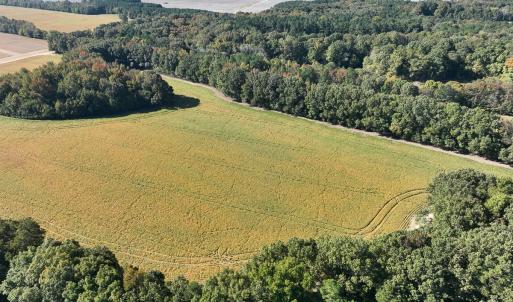 Photo #32 of SOLD property in Off Hwy 301, Halifax, NC 1,057.0 acres