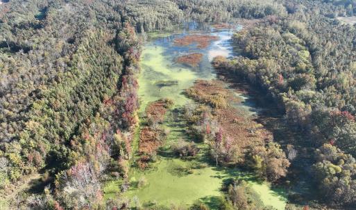 Photo #33 of SOLD property in Off Hwy 301, Halifax, NC 1,057.0 acres
