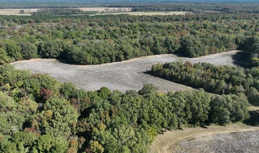 Photo #34 of SOLD property in Off Hwy 301, Halifax, NC 1,057.0 acres