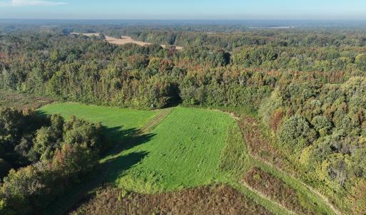 Photo #35 of SOLD property in Off Hwy 301, Halifax, NC 1,057.0 acres