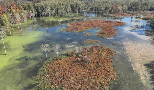 Photo #38 of SOLD property in Off Hwy 301, Halifax, NC 1,057.0 acres