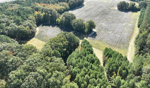 Photo #39 of SOLD property in Off Hwy 301, Halifax, NC 1,057.0 acres
