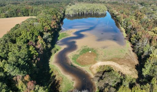 Photo #40 of SOLD property in Off Hwy 301, Halifax, NC 1,057.0 acres