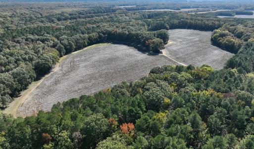Photo #41 of SOLD property in Off Hwy 301, Halifax, NC 1,057.0 acres