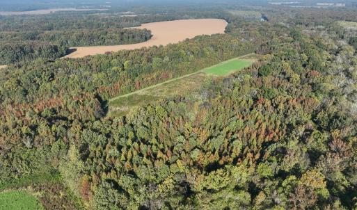 Photo #42 of SOLD property in Off Hwy 301, Halifax, NC 1,057.0 acres