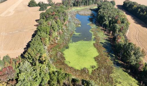 Photo #43 of SOLD property in Off Hwy 301, Halifax, NC 1,057.0 acres